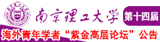 操屄软件南京理工大学第十四届海外青年学者紫金论坛诚邀海内外英才！